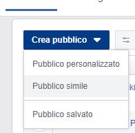 pubblico simile Lookalike Audience